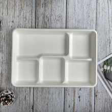 Large size 5-cpt disposable bagasse serving food trays
