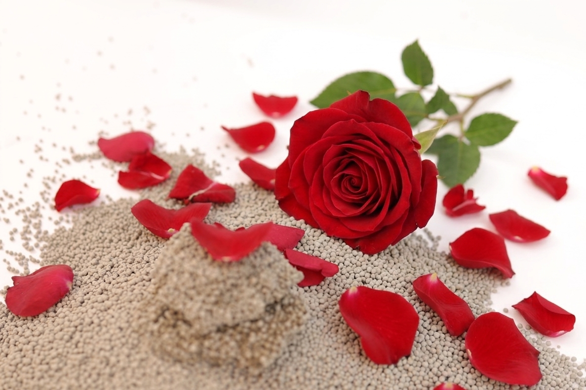 1.5 মিমি রোজ সেন্টেড বেন্টোনাইট ক্যাট লিটার 1.5mm Rose Scented Bentonite Cat Litter