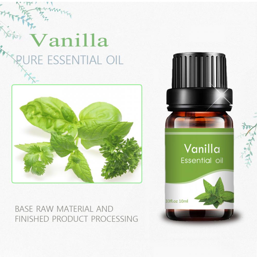 Label pribadi Vanilla Essential Oil 10ml Fragrance Massage