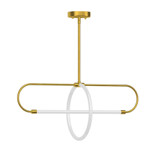 Modern Unique Design Metal Living Room Pendant Light