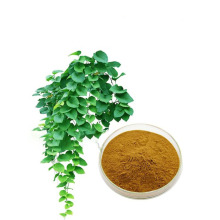 Factory price Chinese ivy extract powder ivy extract