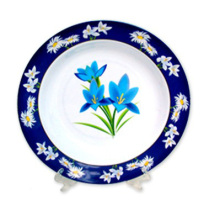 10"melamine plate