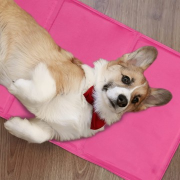 summer ice cooling mat