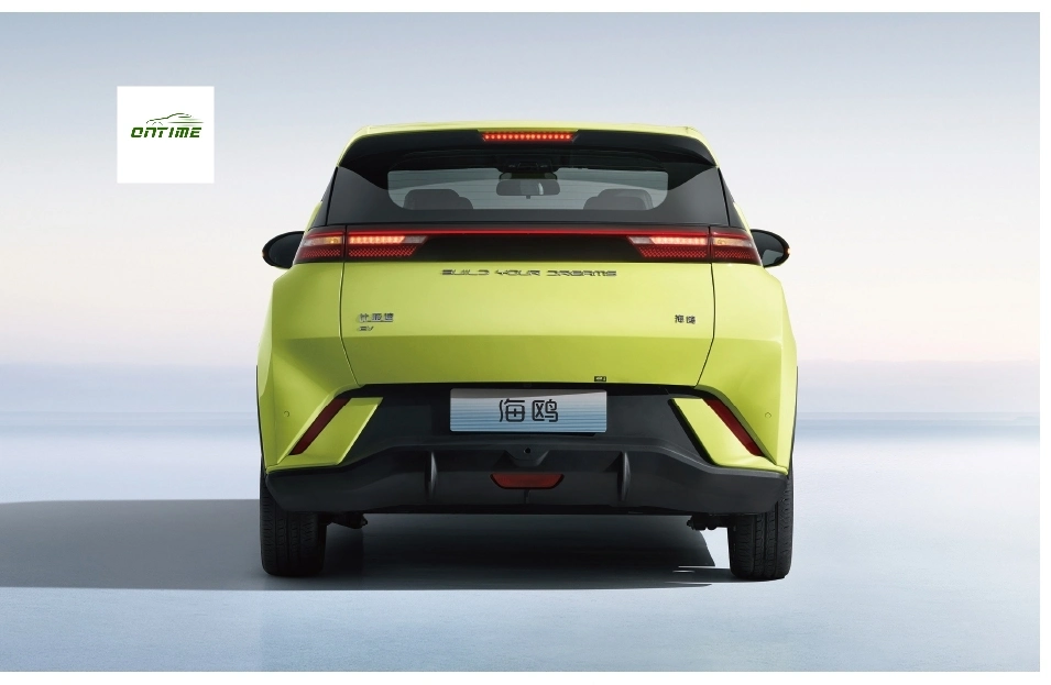 Mini Car Small Wholesale Cheap Price Electric Car Ontime Seagull