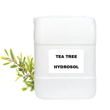 Wholesale Bulk Raw Pure Natural Tea Tree Hydrosol Organic Certified Raw Tea Tree Extract Liquid Tea Tree Water for Skin Face