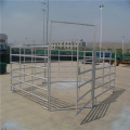 round pen for horse training fence