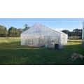 Strong Wind Resistance PE Cover Family Garden Greenhouse