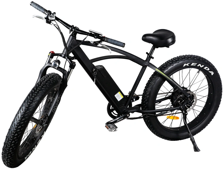 PAS Integrated Electric Fat Mountain Bike/ Big Power Electric Bicycle