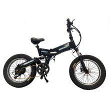 20 Inch folding Aluminum alloy electric bicycle