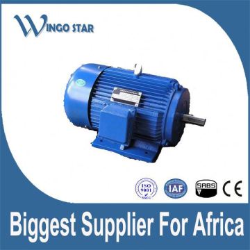 adjustable-speed induction motor