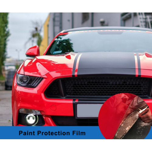 Paint Protection Film vs Vinyl Wrap