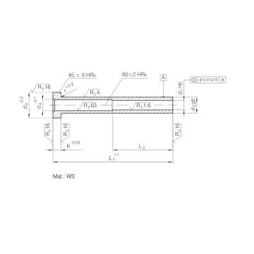 DIN16756またはISO8405エジェクタスリーブ強化WS