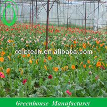Hot Sale Farm Green House