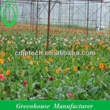 Hot Sale Farm Green House