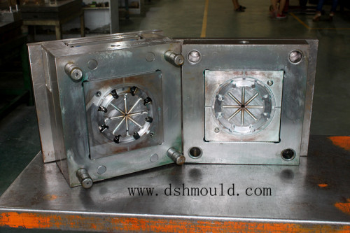 Expert Automobile Injection Mold