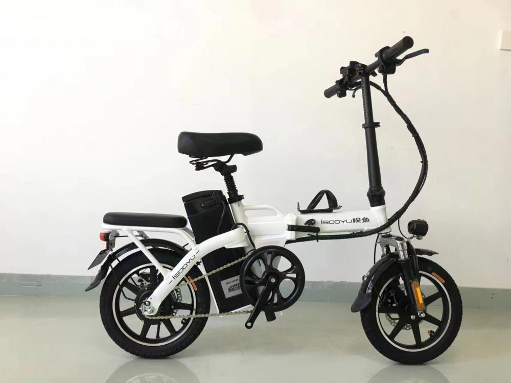 Customized electric bicycle