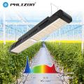 Phlizon lineal 640 vatios de cultivo LED de luz