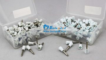 Prophy Cup Ra/Ca Shank