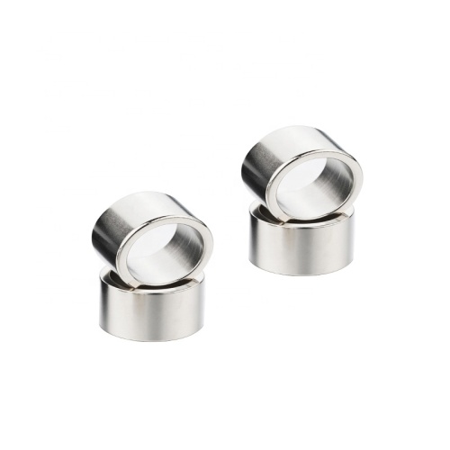 multipole high-end audio ring neodymium magnet