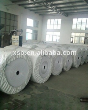 China Laminated PP Woven Fabric/bag Rolls,pp woven sack rolls