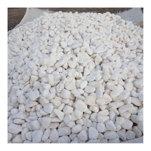 Snow White Polished Cobble Stone - Black & White Pebbles for Outdoor Applications