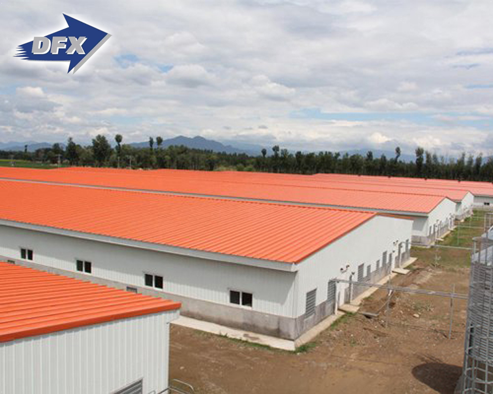 China well design prefabricated light steel structure feeder pig farming barn shed with equipments