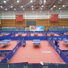 Vinyl Table Tennis floor with ITTF Certificate