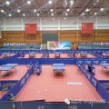 Виниловый пол Enlio для настольного тенниса с сертификатом ITTF