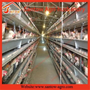 H type 5 tier chicken cage poultry cages quail cage design for poultry farm