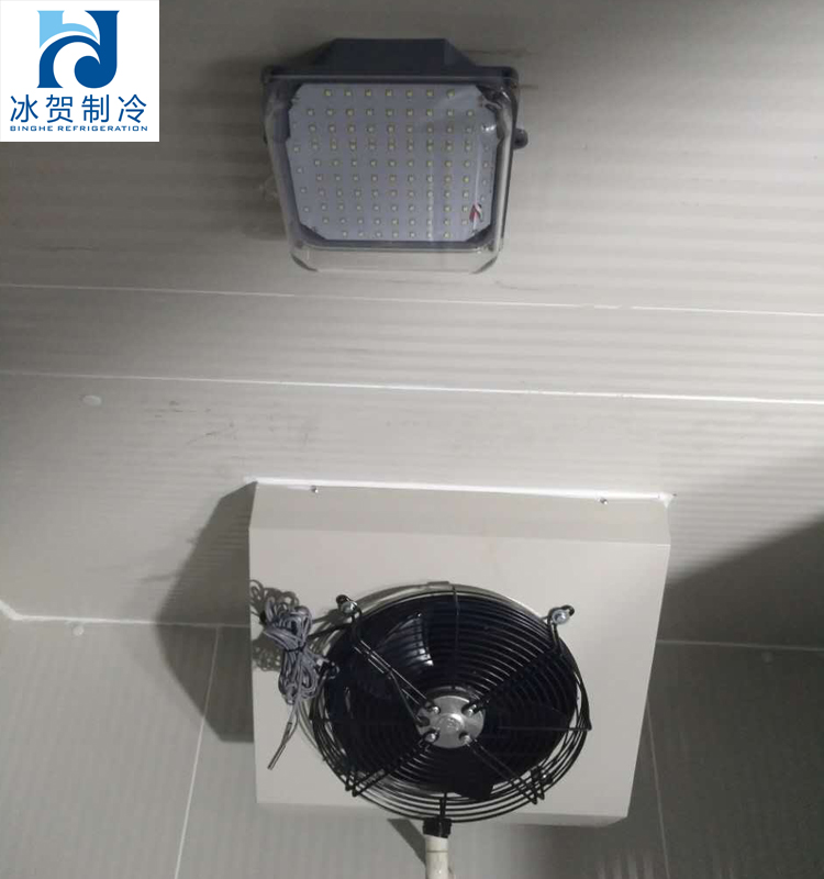 Special lighting LED for cold storage of waterproof and damp-proof bathroom