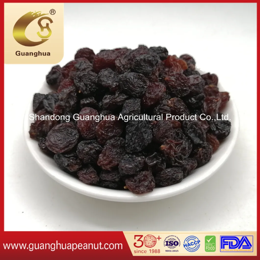 Hot Sale Good Quality Raisins Black Raisin Yellow Raisin Green Raisin Red Raisin Grape