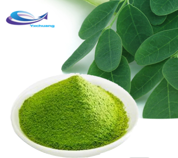 Strong Antioxidant Product Moringa Leaf Extract Moringa