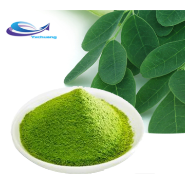 Producto antioxidante fuerte Extracto de hoja de Moringa Moringa