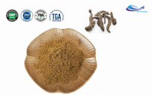 Euphorbia Lathyris Extract 98% Lngenol Powder 30220-46-3