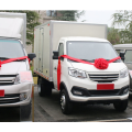 Pure Electric Box Mini Truck