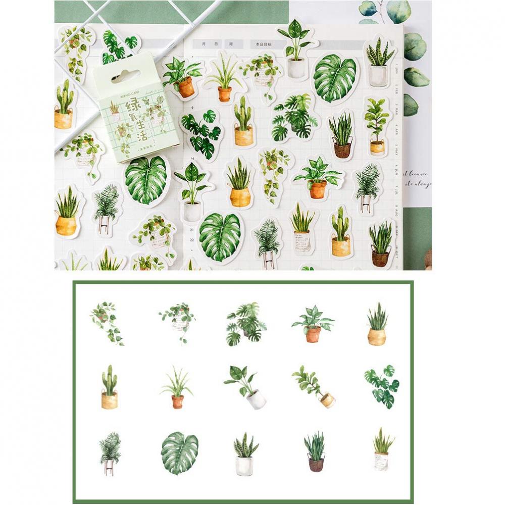 6 Box Paper Sticker Set 4 6 Box Paper Sticker Set 4