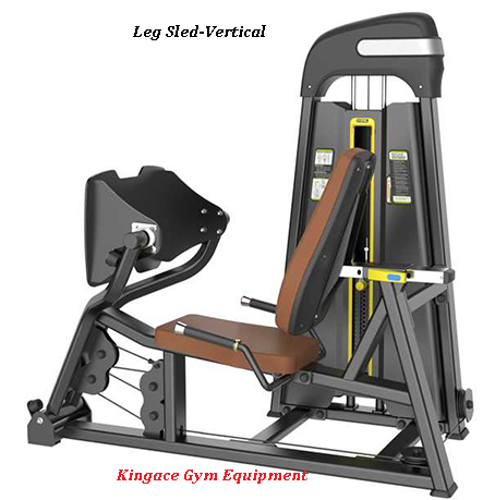 Fitness Equipment/Commercial Gym Equipment/ Hack Squat Machine