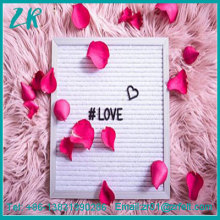 10 X 10 Black Felt Letter Board