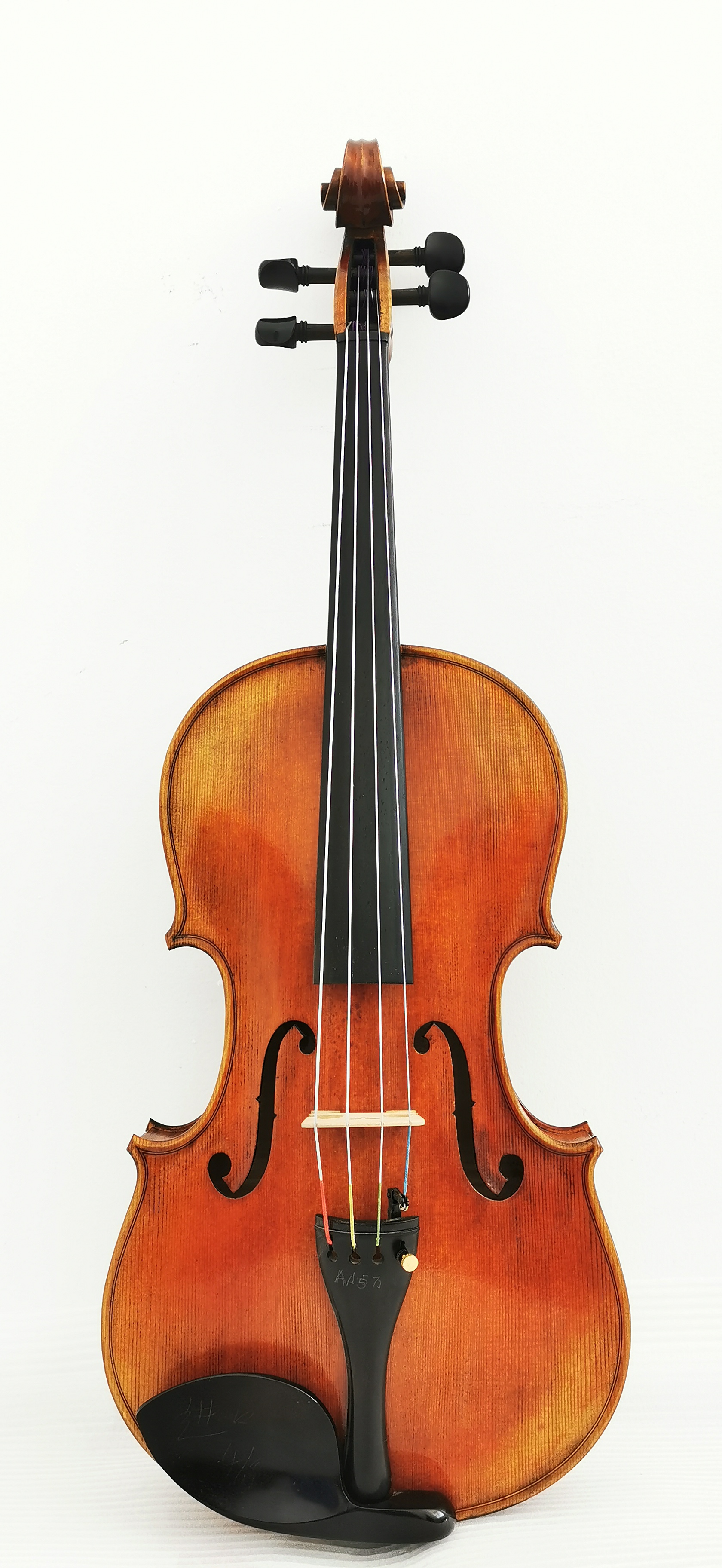 Viola7-1