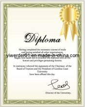 Anti-Counterfeiting Securities Paper Document Printing (H-082)