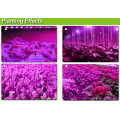 Spektrum Penuh Merah / Biru / Putih / UV / IR 550W LED Grow Light