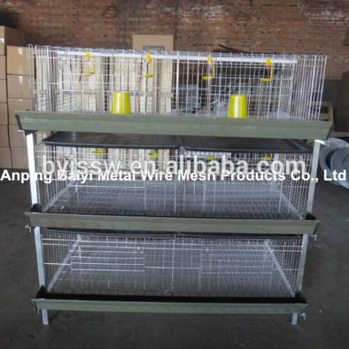 Cages For Broiler Chicken