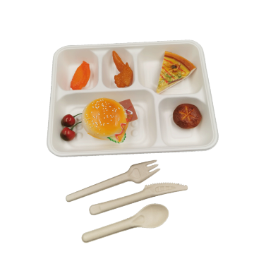 100% Bio Sugarcane Bagasse 6-section School Lunch Trays