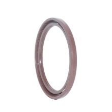 BAFSL1SF SAI Hydraulic Motor Gaskets & Oil Seals