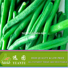 Frozen Green Beans Made For Frozen Mixed Vegetables