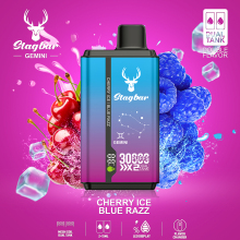 EU warehouse StagBar Gemini 30K Puffs