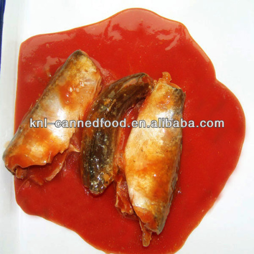 best canned mackerel in tomato sauce