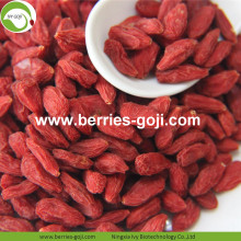 Makanan Borong Super Food Nutrition Zhongning Wolfberry