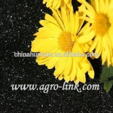 Humic acid foliar (liquid) organic fertilizer