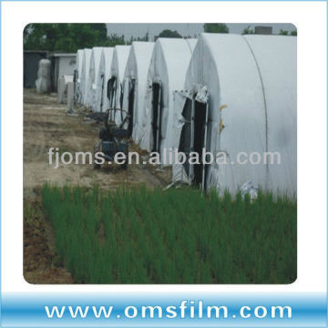 LDPE Agriculture greenhouse Film for poultry farming